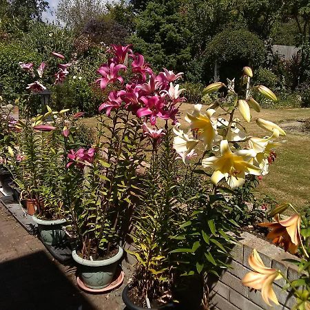Cherry Garden B&B Фолькустоун Экстерьер фото